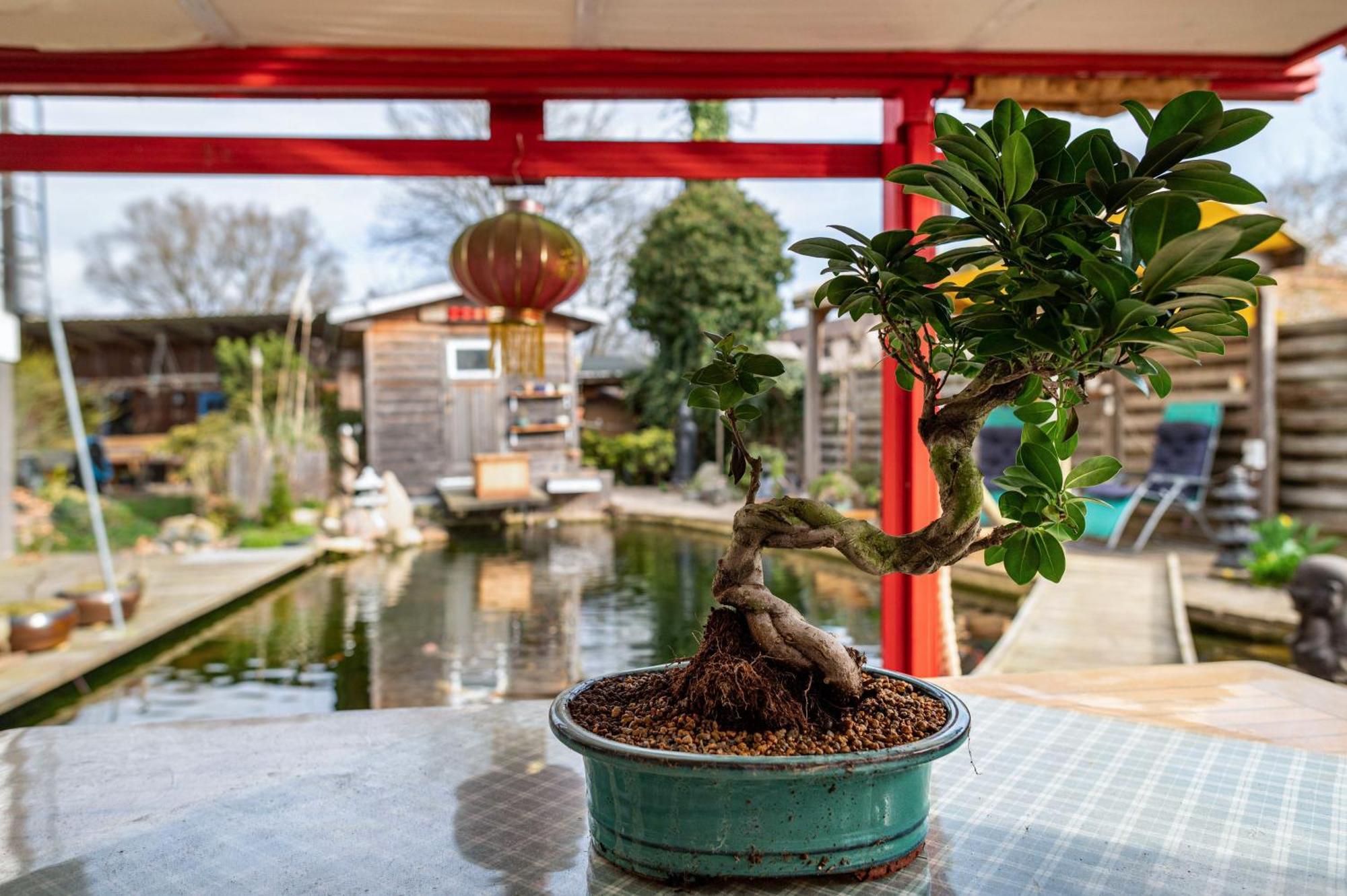 Ferienwohnung Am Teich Bützow Exterior foto