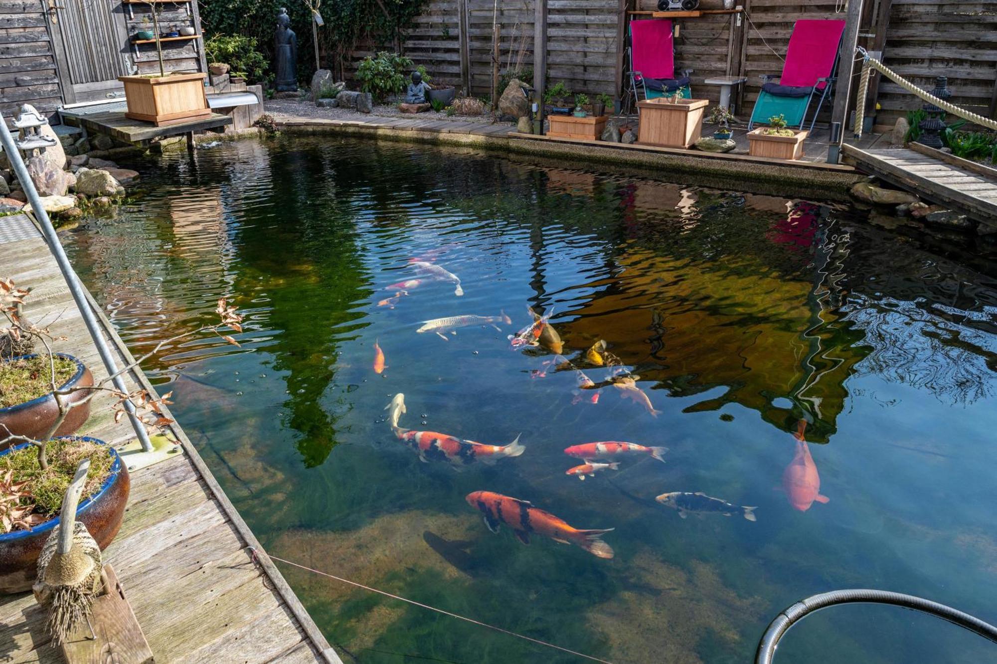 Ferienwohnung Am Teich Bützow Exterior foto